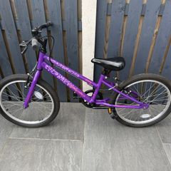 Apollo envy junior bike