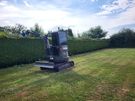 hedge cutting Image 4