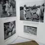 The Young Rider Picture Book by Golden Gorse (PT245) Image 5