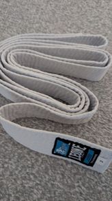 training belt