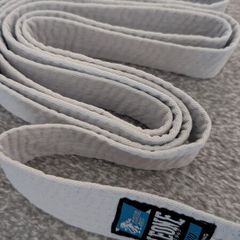 training belt