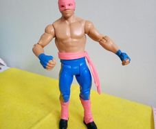 WWE Wrestlers Wrestler Action Figure