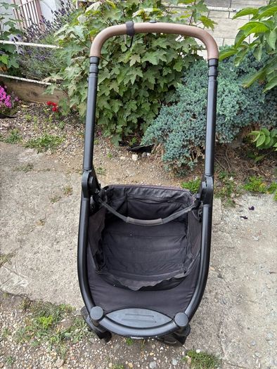 Joie Buggie