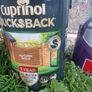 paint Image 4