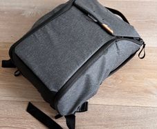 Peak Design Everyday Backpack 20L V2 (Ash)