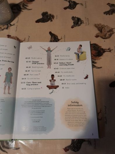 Mindfulness book