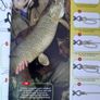 book modern fishing Image 3