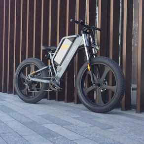 Coswheel T26 E-Bike