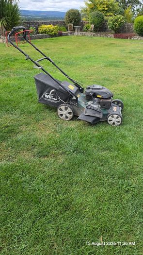 Webb self propelled lawnmower