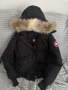 canada goose