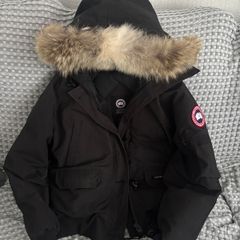 canada goose