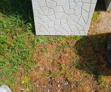 patio slabs