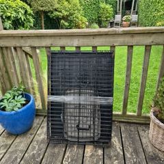 dog crate