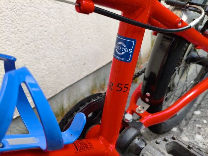 Frog 55 (22 inch) Kids bike