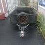 F40 Car Trailer Image 2