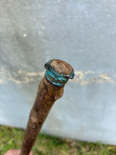 Vintage hazel walking stick