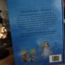 The Magical World of Fairies ! Bautiful Hardcover ! 2004 ! by Armadillo ! Image 4