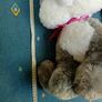 Giant cat teddy Image 4