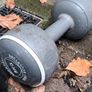 Free Weights Image 6