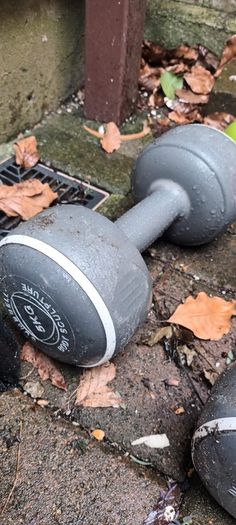 Free Weights