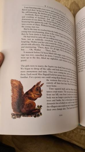 Cider With Rosie By Laurie Lee.   BEAUTIFUL ILLUSTRATED  EDITION 1989. Hardback With Dustjacket In Very Good Condition. Large Volume Book.