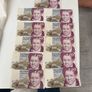 Irish 20 pound note in a frame Image 5