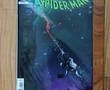 The Amazing Spider-Man 5 Issue 2025 Variant Edition LGY 969 Marvel Comics Spiderman Black Cat