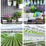 150PCS Automatic Drip Irrigation Kit Plant Watering System Adjustable Micro Flow Drip Irrigation Dripper Sprinklers, Tee Pipes, Hose Support Stakes for Gardens, Lawns, Greenhouses(Green) Image 3