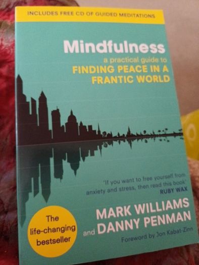 Mindfulness  A Practical Guide to Finding Peace in Frantic World  Book