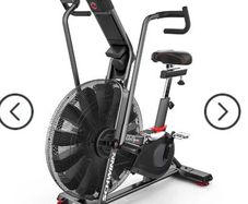 Schwinn Airdyne AD8 Airbike