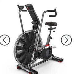 Schwinn Airdyne AD8 Airbike