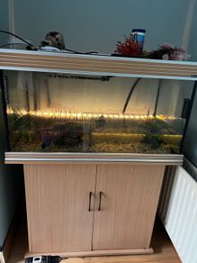 Aqua One Fish tank, filter and cabinet.