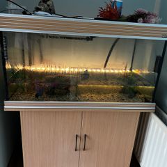 Aqua One Fish tank, filter and cabinet.