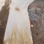 Hardwood timber Image 3