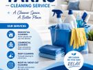 Cleaning Image 2