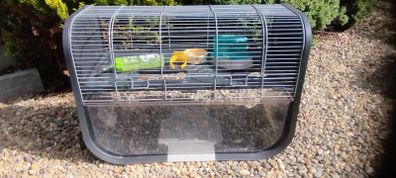 Gerbil Cage