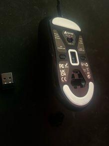 mice