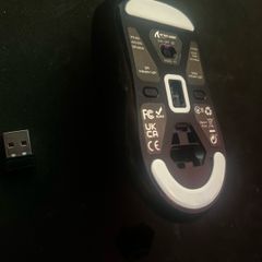 mice