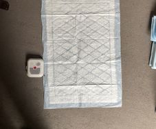 absorbent pads for bedtime toilet training