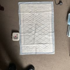 absorbent pads for bedtime toilet training