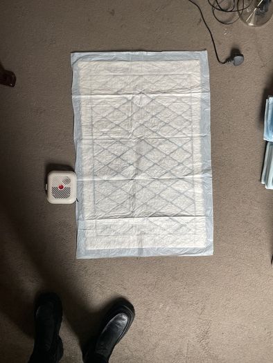 absorbent pads for bedtime toilet training