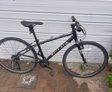 Giant ARX 26" bike