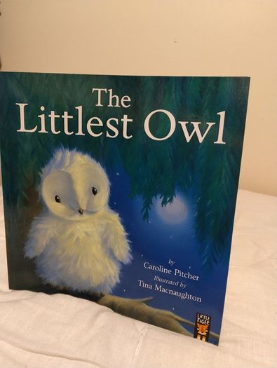 The Littlest Owl by Caroline Pitcher
