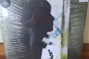 Paul Weller - Wild Wood