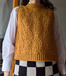 Zara sweater vest