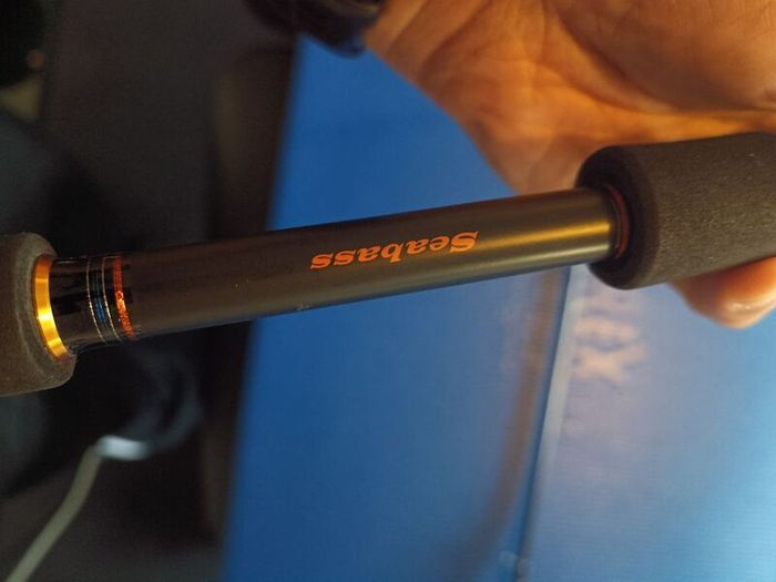 Daiwa lexa seabass 9.6 10-35g