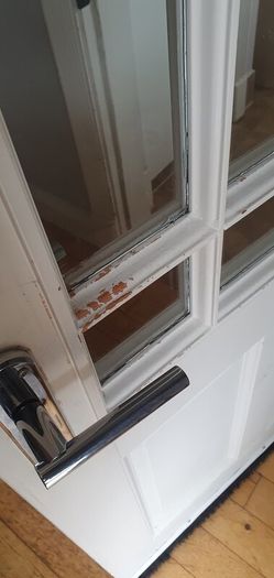 Pine doors