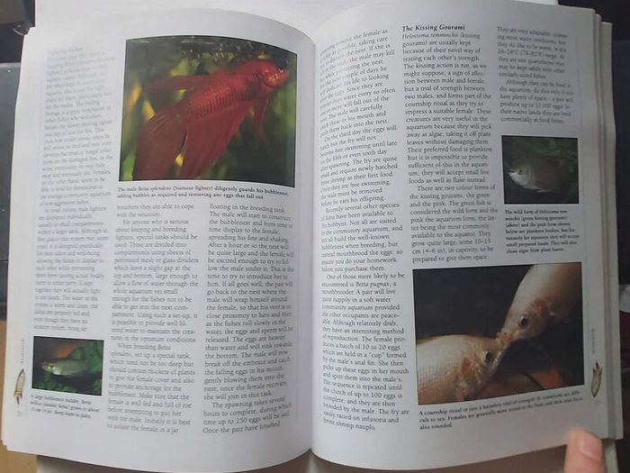 Tropical Fish and Aquarium Books