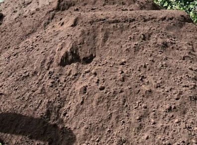 Top Soil