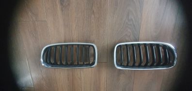 BMW front grill